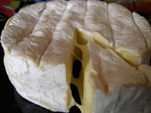 Camembert maison